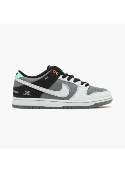 Nike Dunk SB Low VX1000