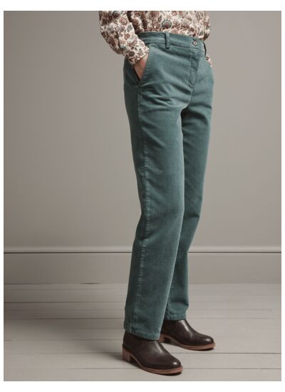 Chino Velours