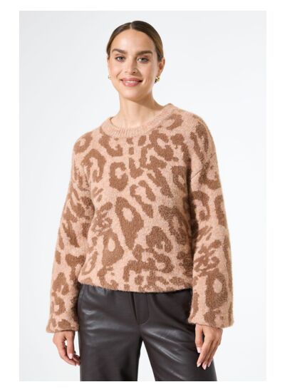 Women Sweater Brown