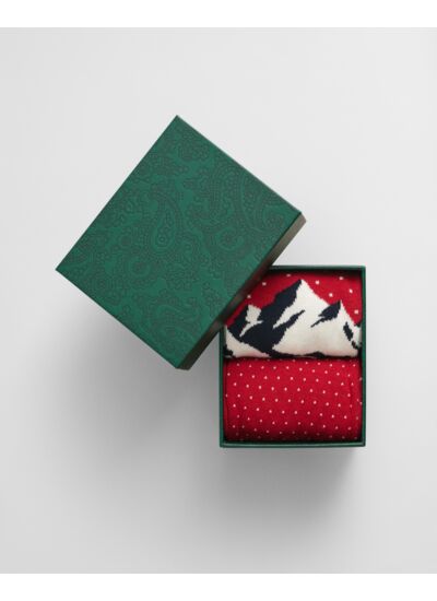 2-Pack Ski Artwork Socks Gift Box